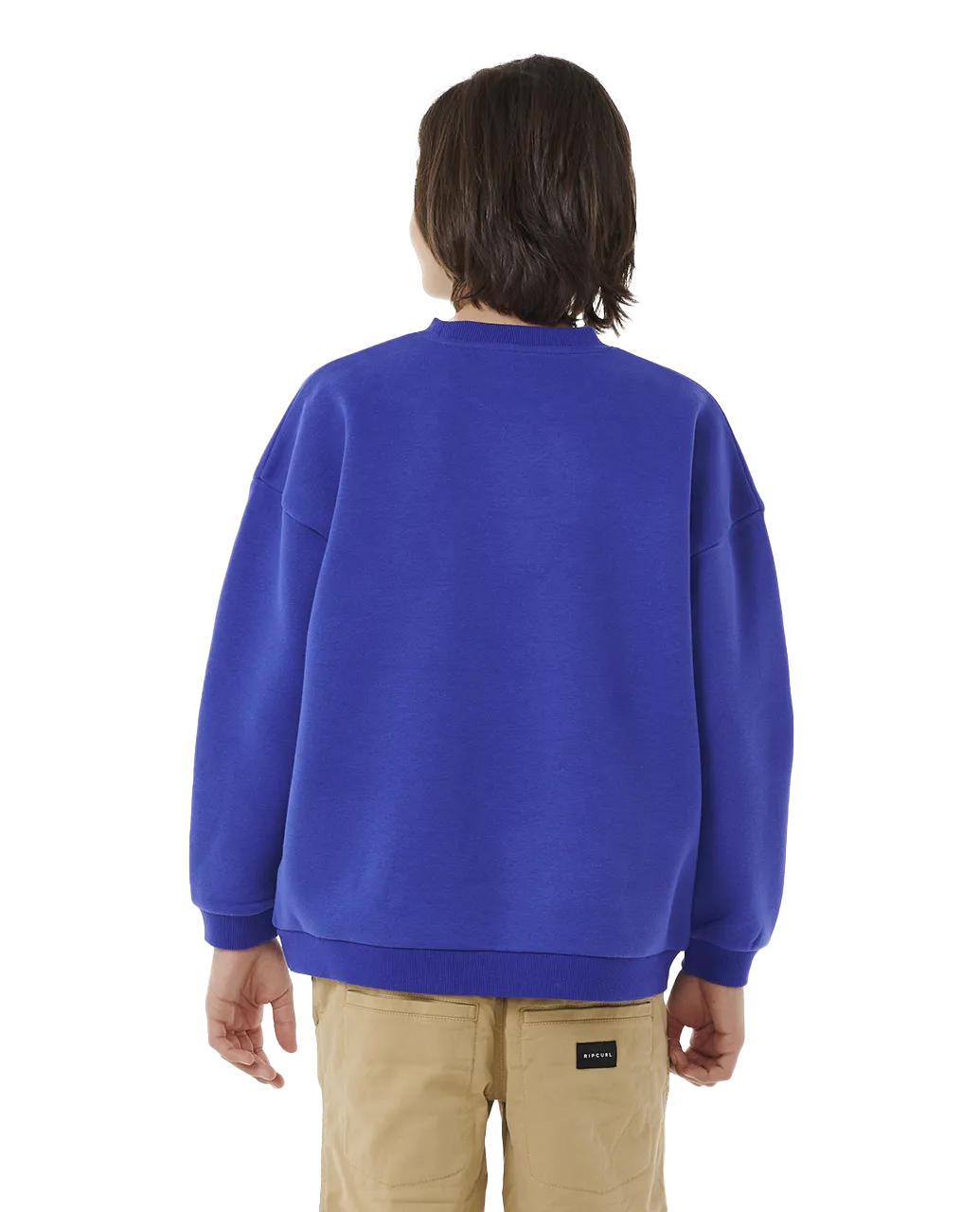 Boys Future Evolution Sweatshirt in Wild Berry